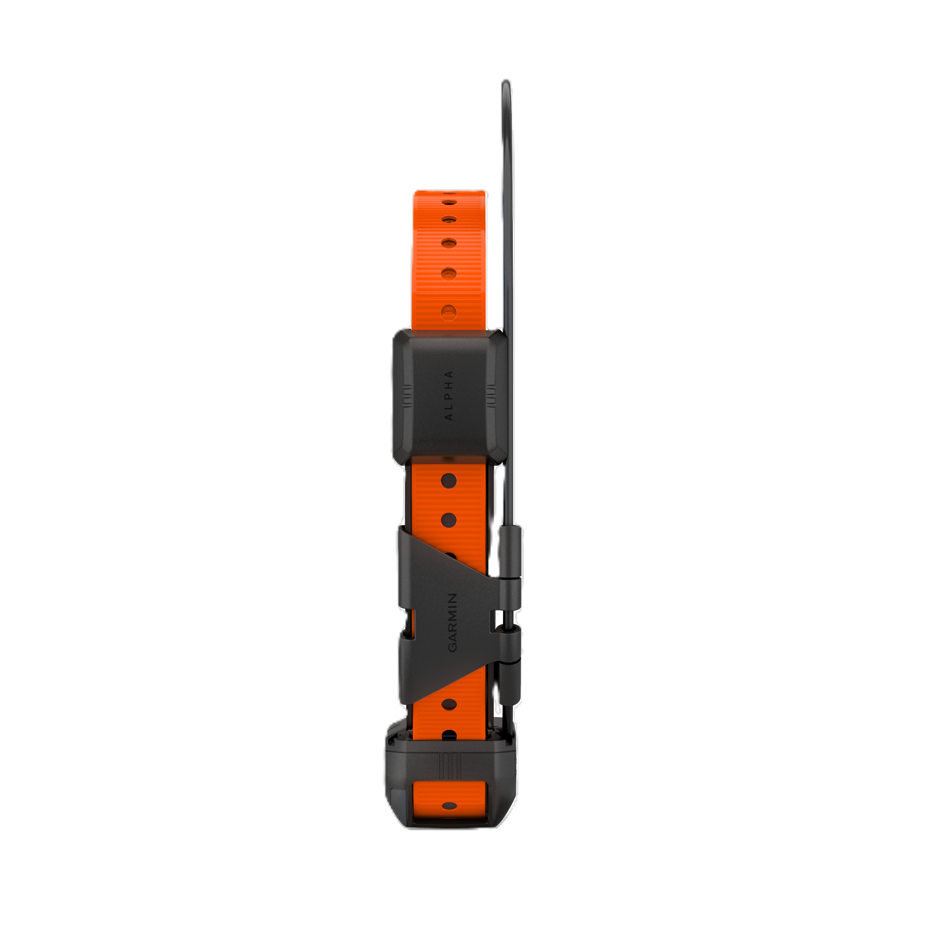 Garmin Alpha TT25 Dog Tracking & Training Collar